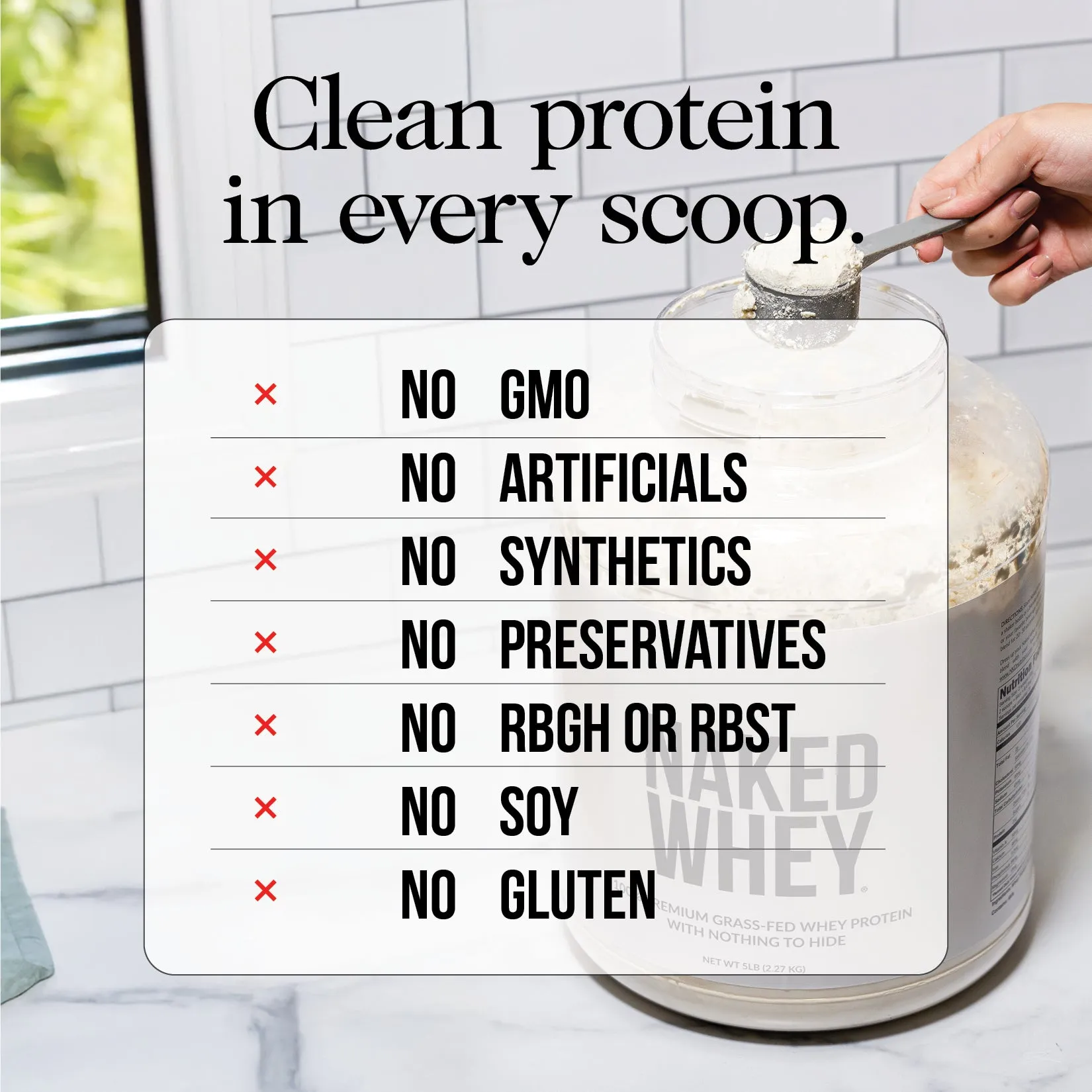 Vanilla Whey Protein Powder 1lb | Naked Vanilla Whey - 1LB