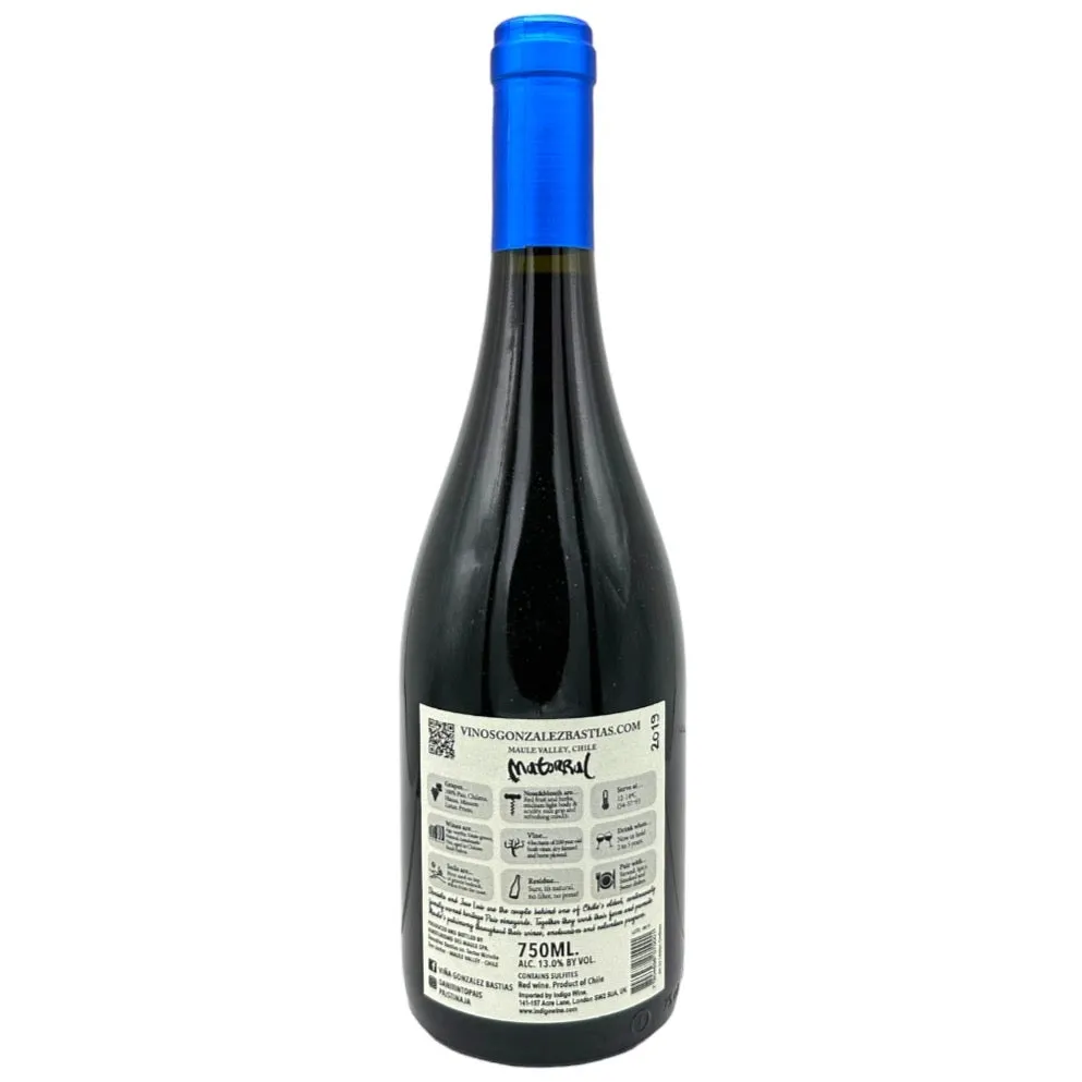 Viña González Bastías Matorral País 2019