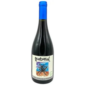 Viña González Bastías Matorral País 2019