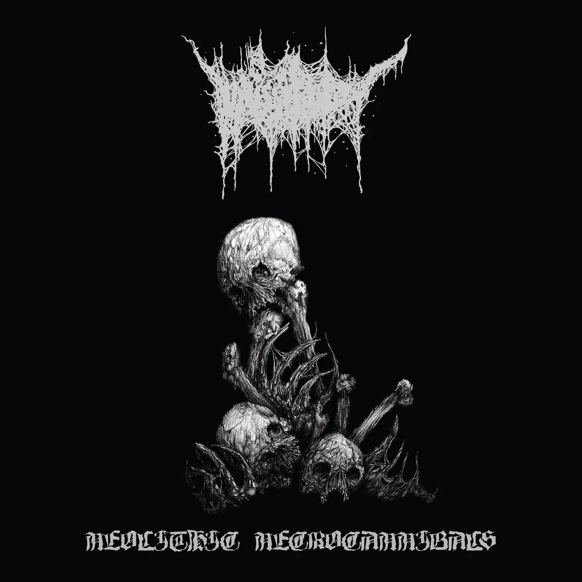 VICISSITUDE (NZ) - Neolithic Necrocannibals CD